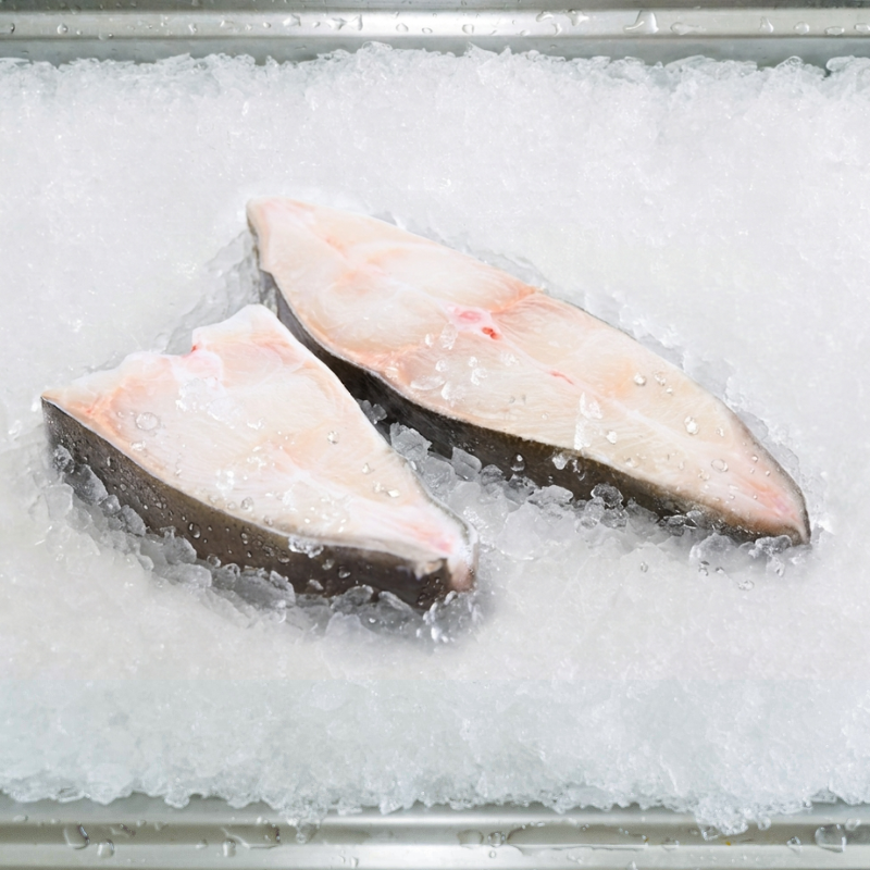 Halibut