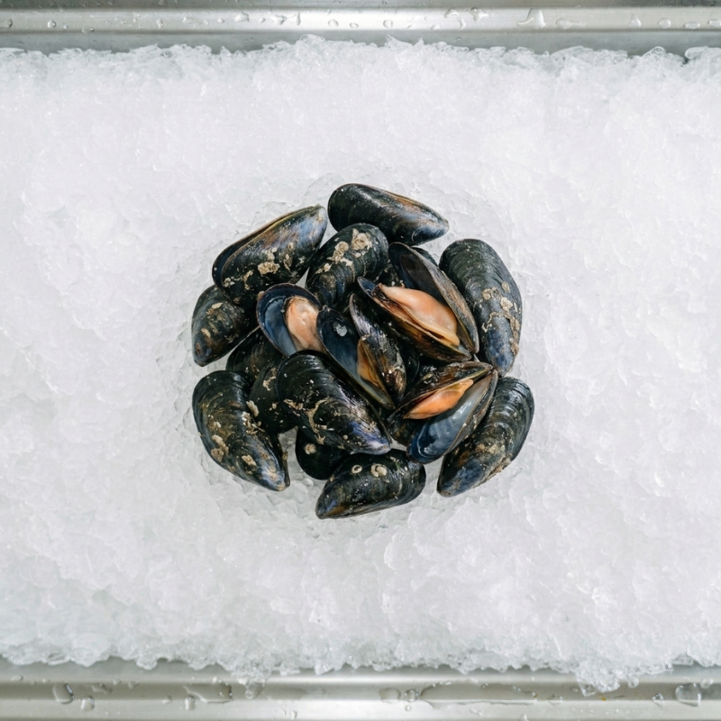 Mussels