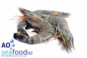raw king prawns