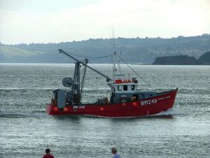 fishing for dover sole