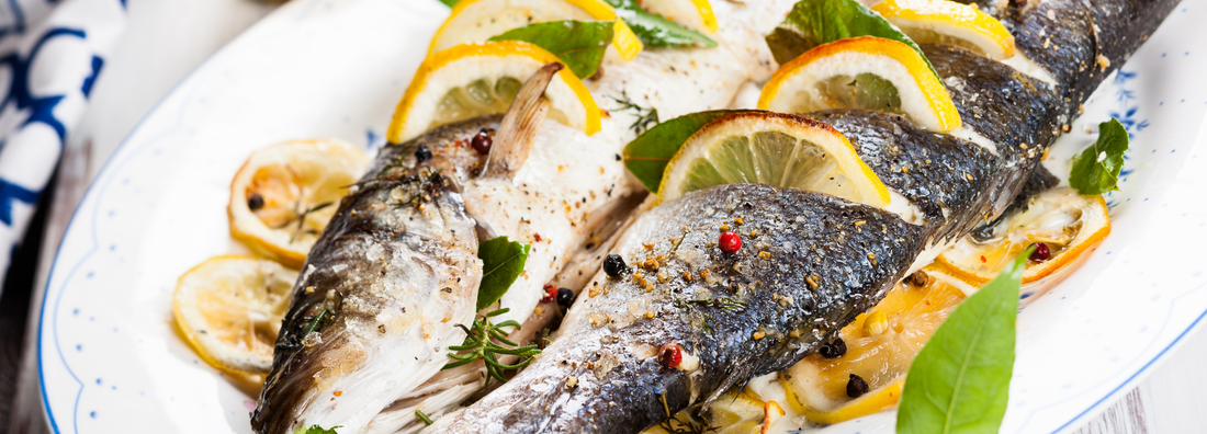 Mediterranean Sea Bass