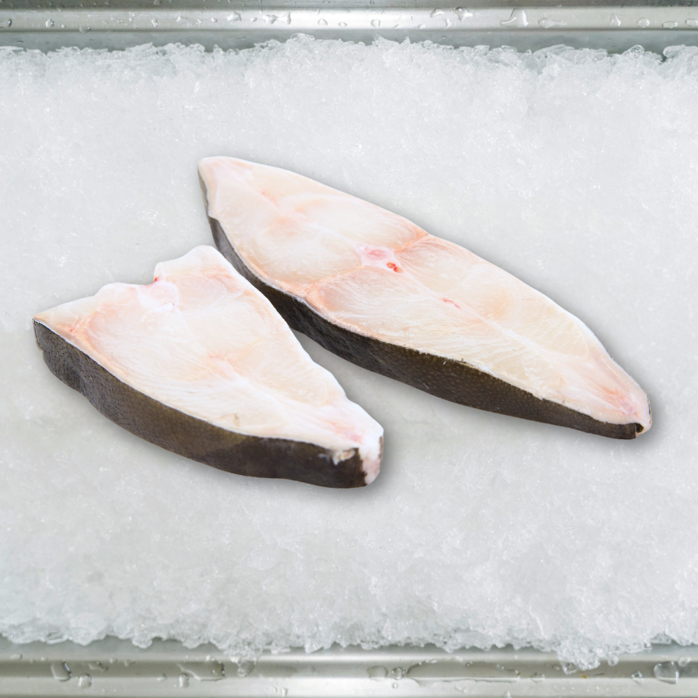 Halibut