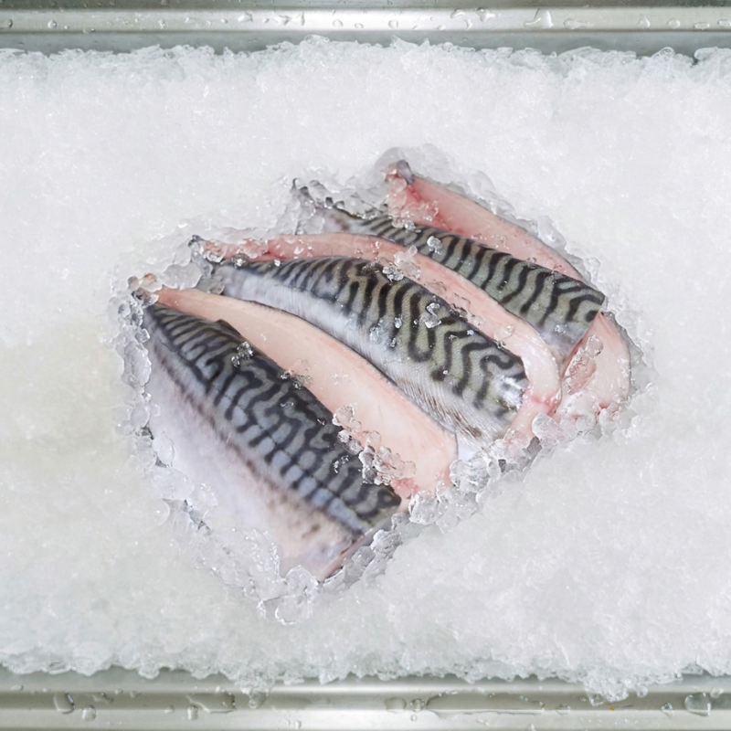 Mackerel