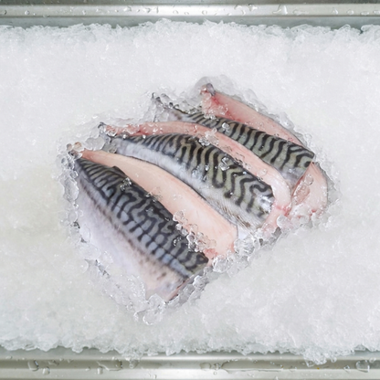 Mackerel