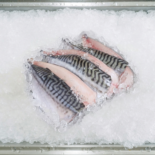 Mackerel