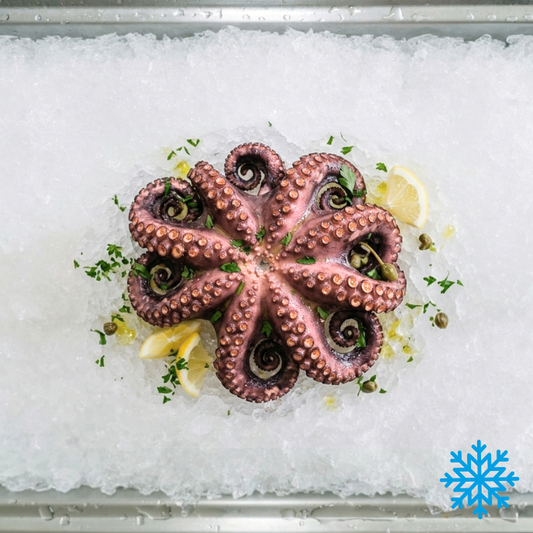 Octopus
