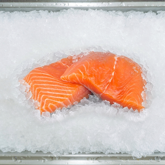 Salmon