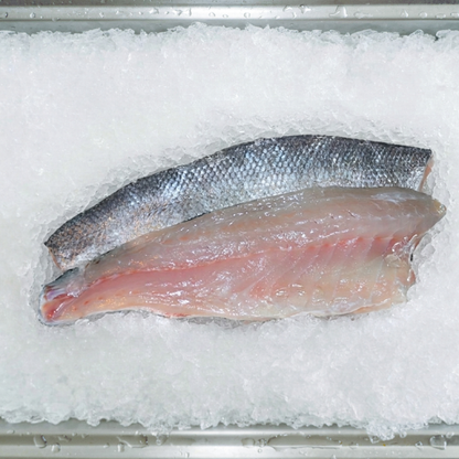 Sea Bass