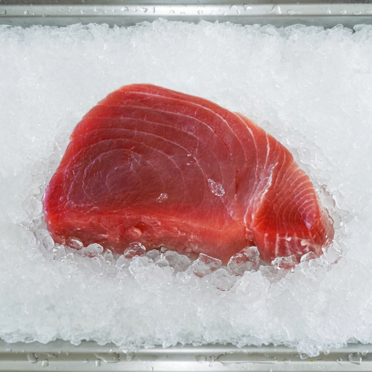 Tuna Steak