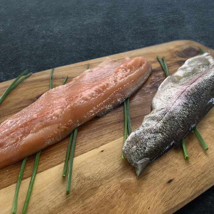 sea trout