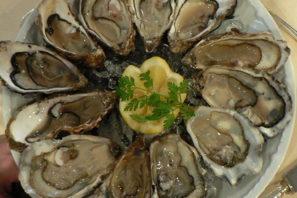 Oysters_in_circle_on_plate