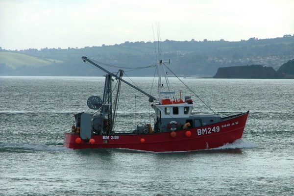 fishing for dover sole