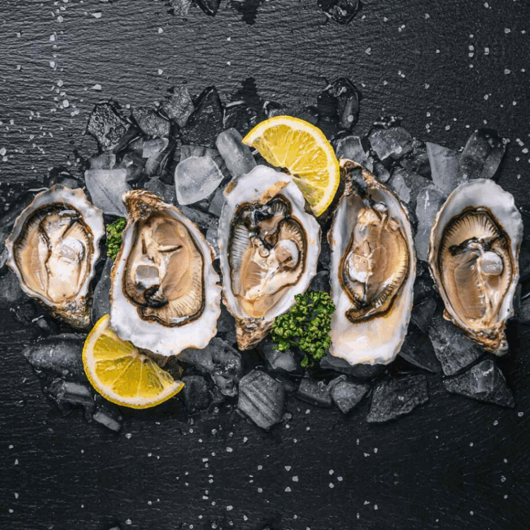 oyster
